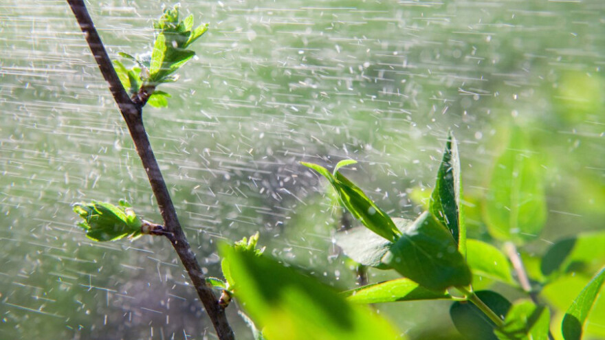 Padavine popravljaju zalihe vlage u tlu