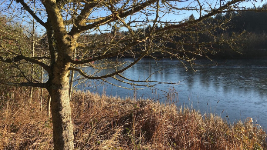 Stižu temperature primjerenije siječnju?