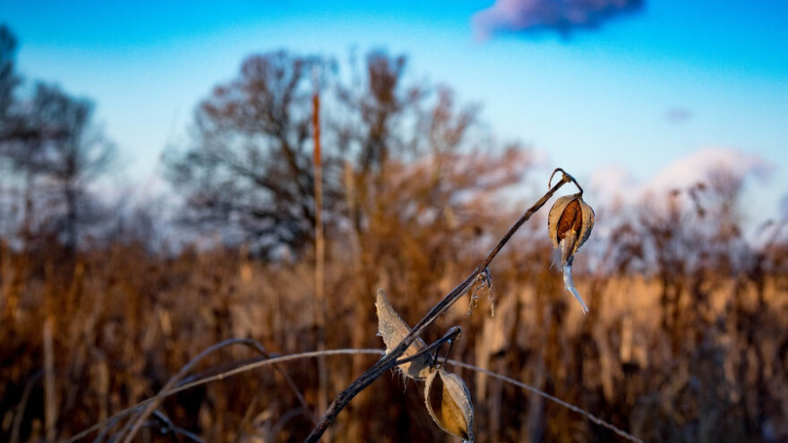 Zaštitite osjetljive biljke!