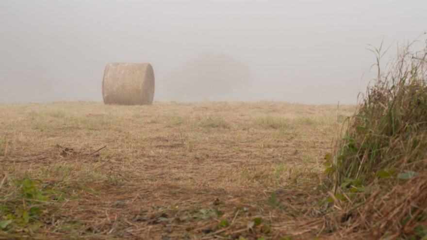 Vrijeme do srijede povoljno za sjetvu