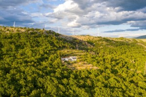 OliveTree Marijane Ribičić: Gosti traže autohtono, treba povezati OPG-ove s turizmom