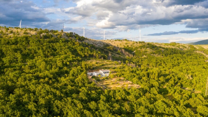 OliveTree Marijane Ribičić: Gosti traže autohtono, treba povezati OPG-ove s turizmom