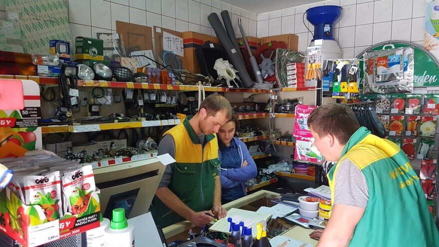 Elvedin Velić: Stajsko đubrivo ima važnu ulogu u uzgoju krastavaca kornišona