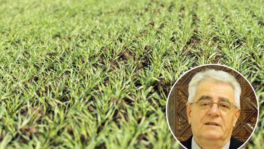 'O Božiću juga – bit će zima duga'