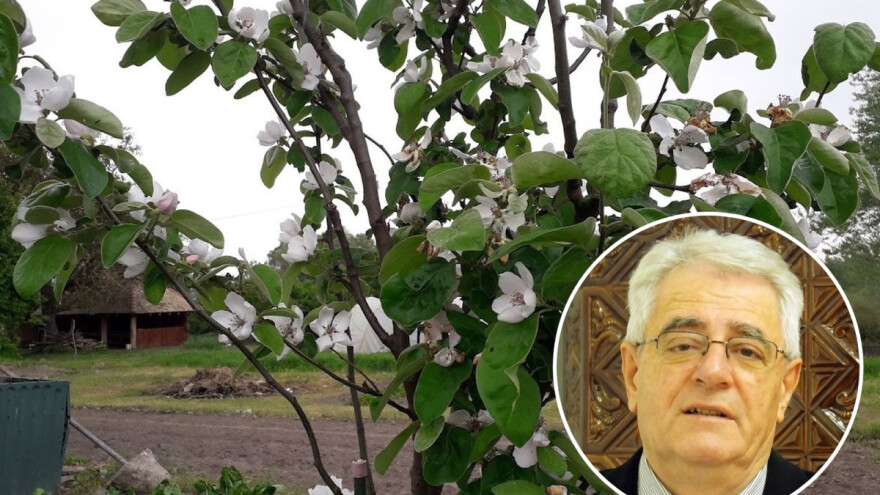 Svibanjske kiše padajte što više