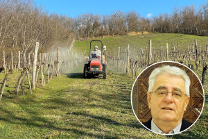 Obavite što ste planirali u masliniku, vinogradu, voćnjaku jer stiže promjena vremena