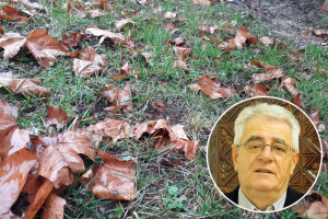 Dani koji dolaze bit će relativno topli, ali i vlažni