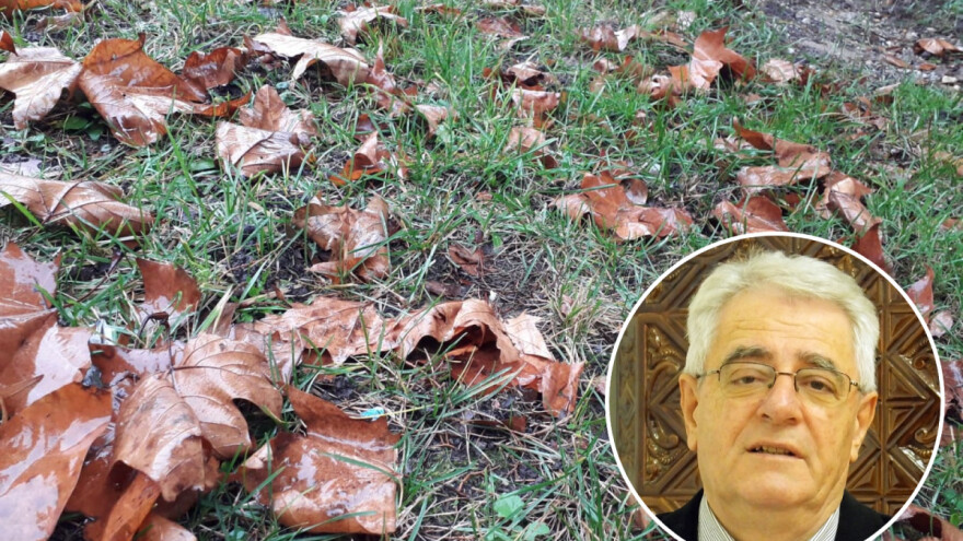 Dani koji dolaze bit će relativno topli, ali i vlažni