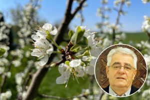 Kad u travnju kiša pada, tko se dobru da ne nada