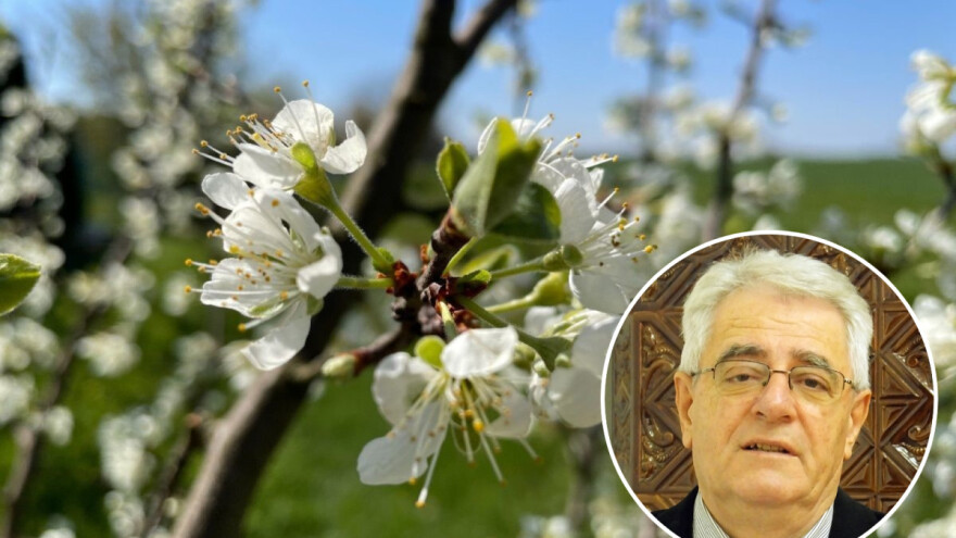 Kad u travnju kiša pada, tko se dobru da ne nada