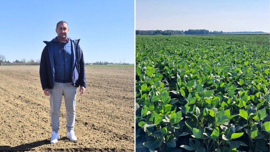 Kako zaštititi soju od korova uslijed najnovijih zabrana iz Europe?