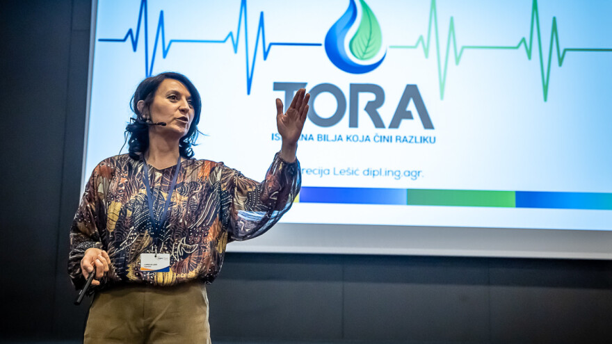 I biljkama treba "smoothie" za snagu i energiju - evo gdje ga naći