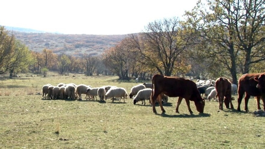 Poljoprivredna proizvodnja uz očuvanje okoliša