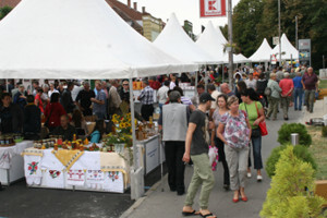 2. Agroexpo u Virovitici