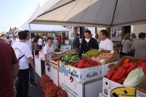 U središtu Virovitice održan Agroexpo