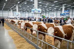 AGROFARM - vodeći sajam stočarstva u Rusiji