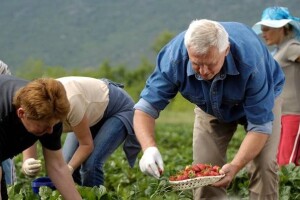 Revitalizacija proizvodnje u rukama kooperanata!