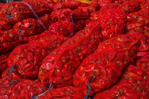 AgroFructus razvija poslovanje u Makedoniji