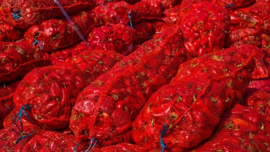 AgroFructus razvija poslovanje u Makedoniji