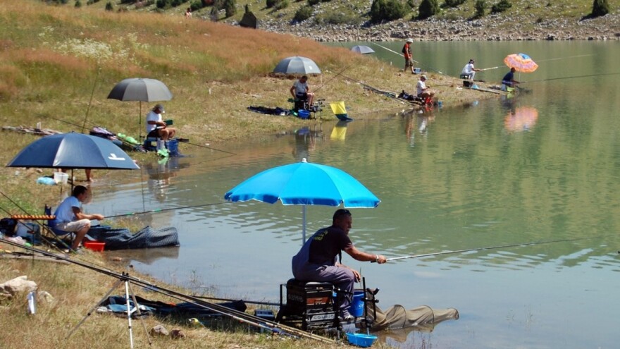 Uvački meandri sve atraktivniji zbog lova na soma