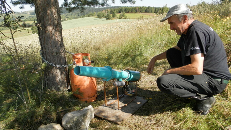 Topovima brane letinu od divljih svinja