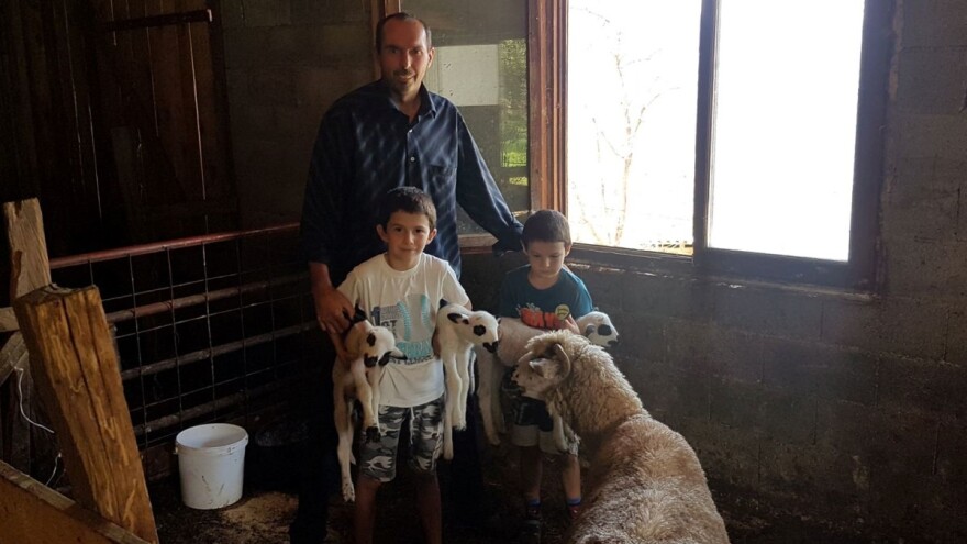 Ovca kod Prijepolja ojagnjila četvorke