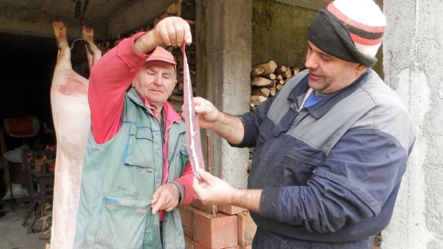 Vremensku prognozu čitaju iz svinjske slezene