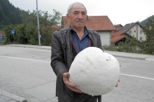 Ubrao puharu veličine tri nogometne lopte