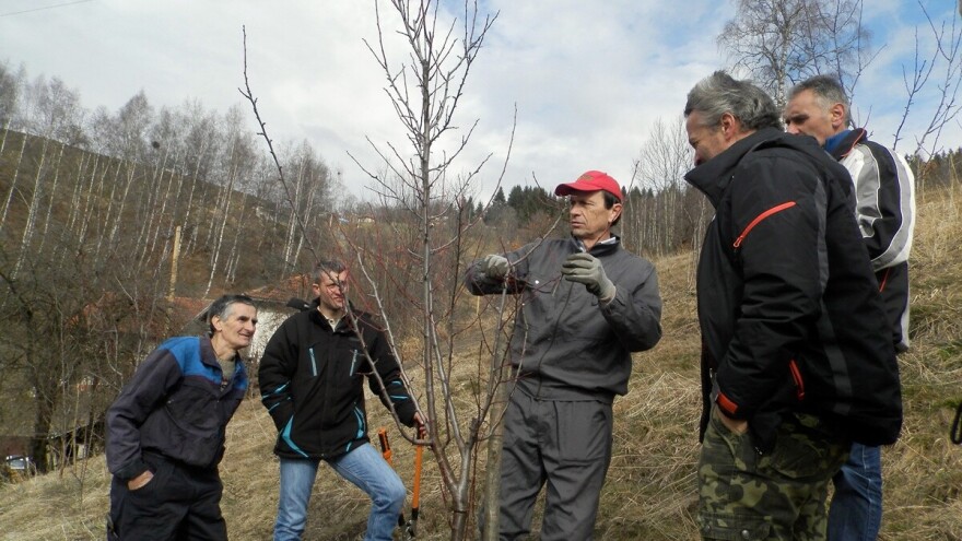 Kroz obuku o rezidbi voća ispravljaju naučeno od predaka