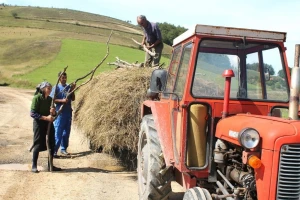 Položaj žena na selu: Nevidljiva radna snaga