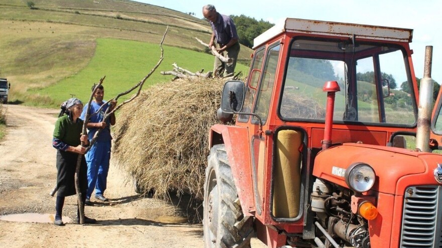 Položaj žena na selu: Nevidljiva radna snaga