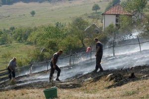 Opasno i kažnjivo paljenje strnjike: Umesto uništavanja zaoravanje