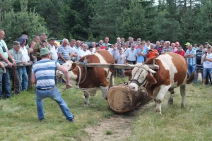 Susreti gorštaka iz zlatarskih sela prerasli u tradiciju