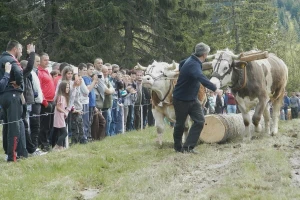 Rabadžijski je kruh sa sedam kora, ali se jede s ljubavlju