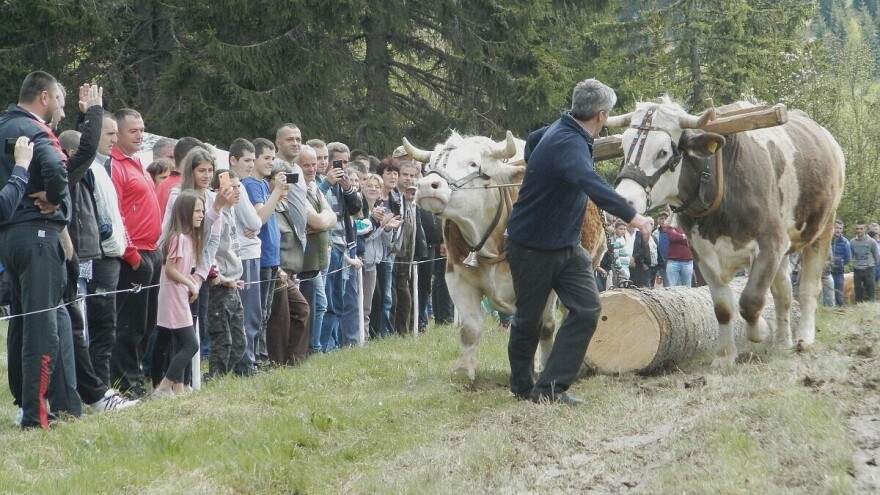 Rabadžijski je kruh sa sedam kora, ali se jede s ljubavlju