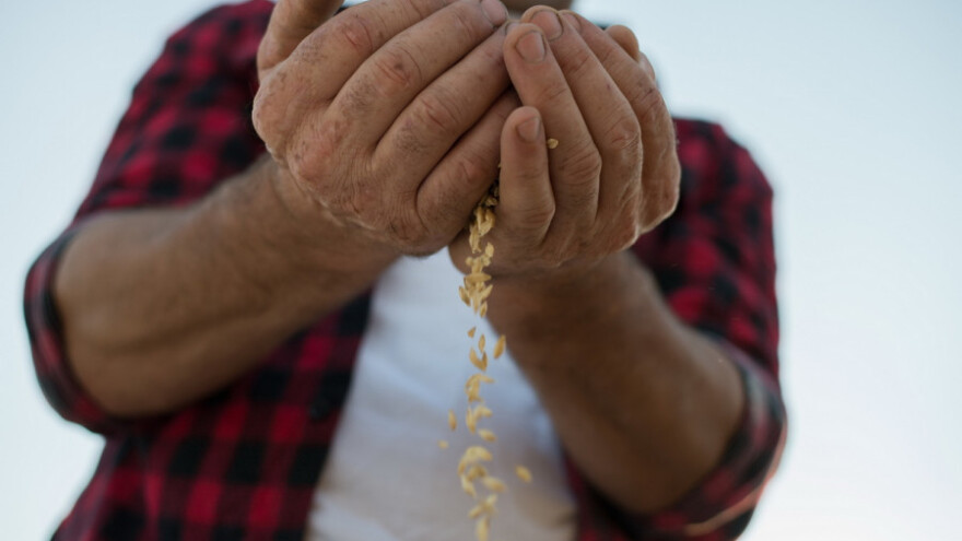 Sretna Nova uz najčitanije na Agroklubu