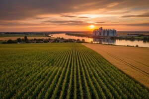 Agrokor će samo ove godine u VUPIK uložiti 300 milijuna kuna