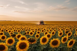 Agrokor najbolji od hrvatskih tvrtki!