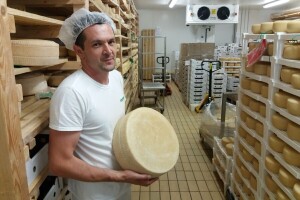 Znamo za vrhunska vina i maslinova ulje, no Agrolaguna niže nagrade i za ovčji sir