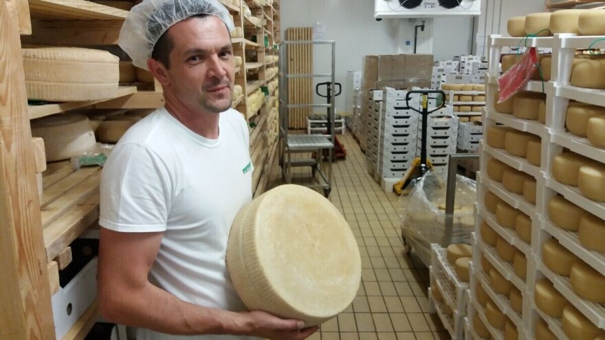 Znamo za vrhunska vina i maslinova ulje, no Agrolaguna niže nagrade i za ovčji sir