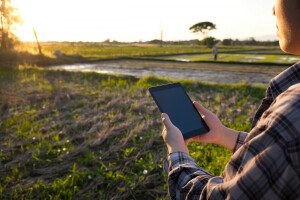 Agronet kao tajna uspjeha agroproizvodnje