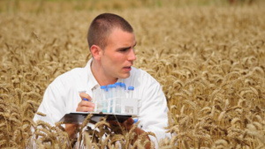 Agrokor zapošljava mlade