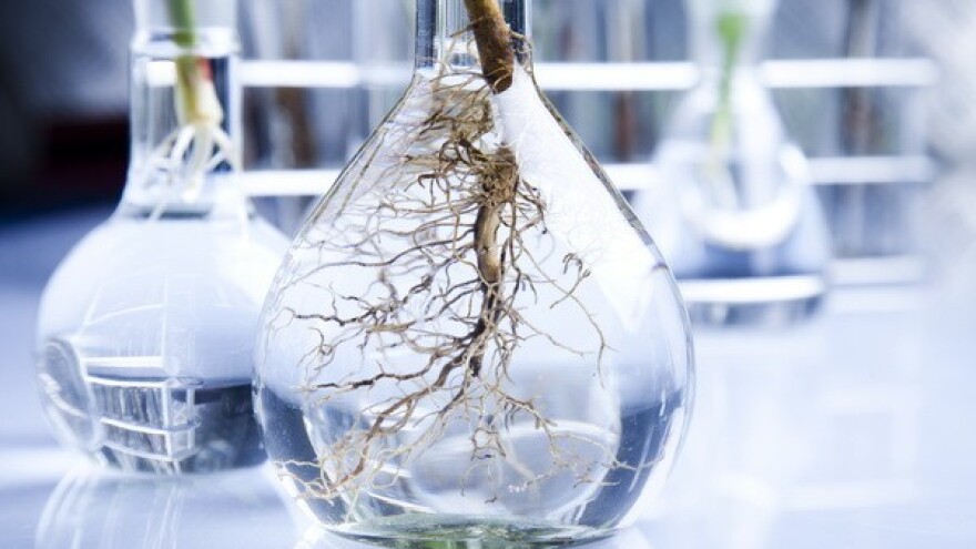 Agronomska komora za stručnu poljoprivredu