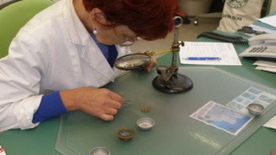 Struka  vitalnija od poljoprivrede