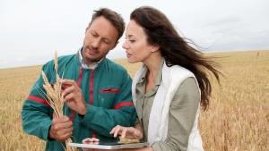 Nisu agronomi čarobnjaci - ali sposobni jesu