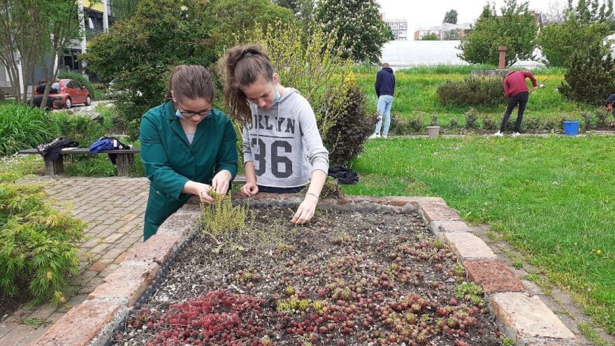 Učenici Agronomske škole Zagreb i ljeti brinu o vrtu te poručuju - poljoprivreda je budućnost