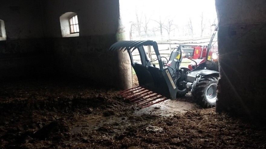 Weidemannov slalom u štali đakovačke ergele