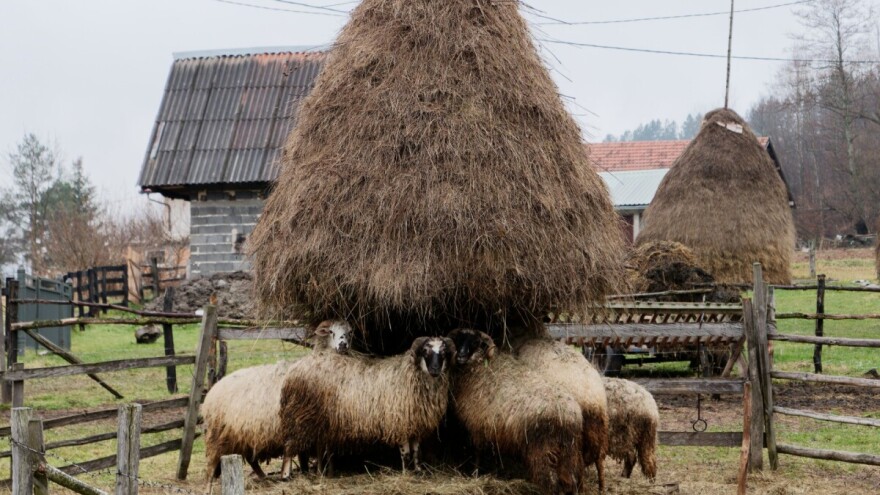Još malo zime: Bez jačih zahlađenja, ali s kišom i snijegom