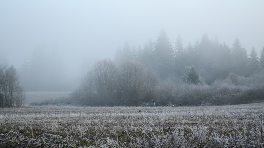 Zaštitite bilje od niskih temperatura