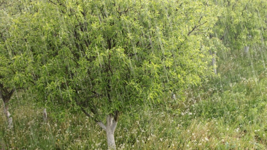 Grad, pljuskovi i grmljavina - tri dana nestabilnog vremena